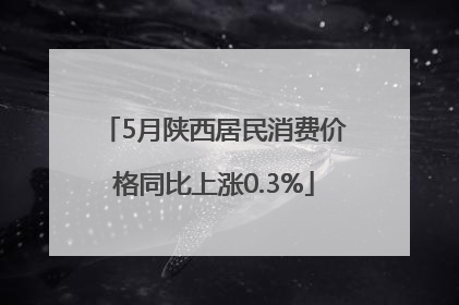 5月陕西居民消费价格同比上涨0.3%