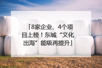 8家企业、4个项目上榜！东城“文化出海”能级再提升
