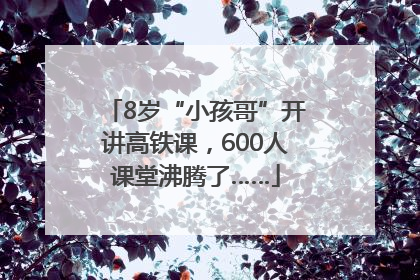 8岁“小孩哥”开讲高铁课，600人课堂沸腾了……