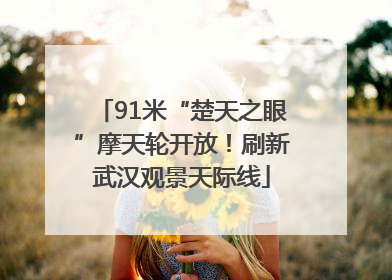 91米“楚天之眼”摩天轮开放！刷新武汉观景天际线