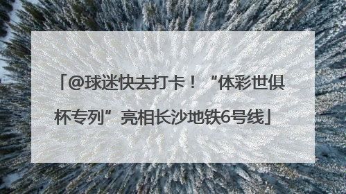 @球迷快去打卡！“体彩世俱杯专列”亮相长沙地铁6号线