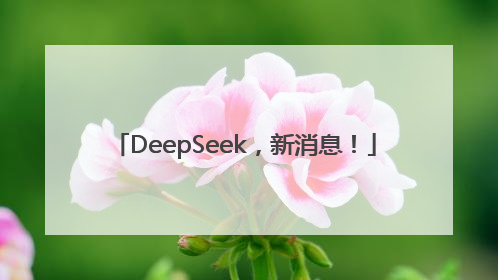 DeepSeek，新消息！