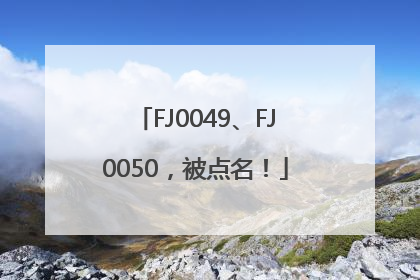 FJ0049、FJ0050，被点名！