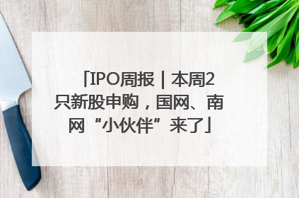 IPO周报｜本周2只新股申购，国网、南网“小伙伴”来了
