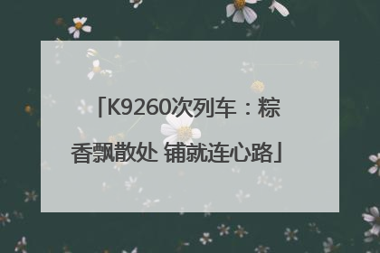 K9260次列车：粽香飘散处 铺就连心路