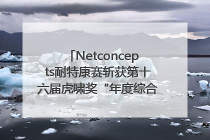 Netconcepts耐特康赛斩获第十六届虎啸奖“年度综合服务商”大奖